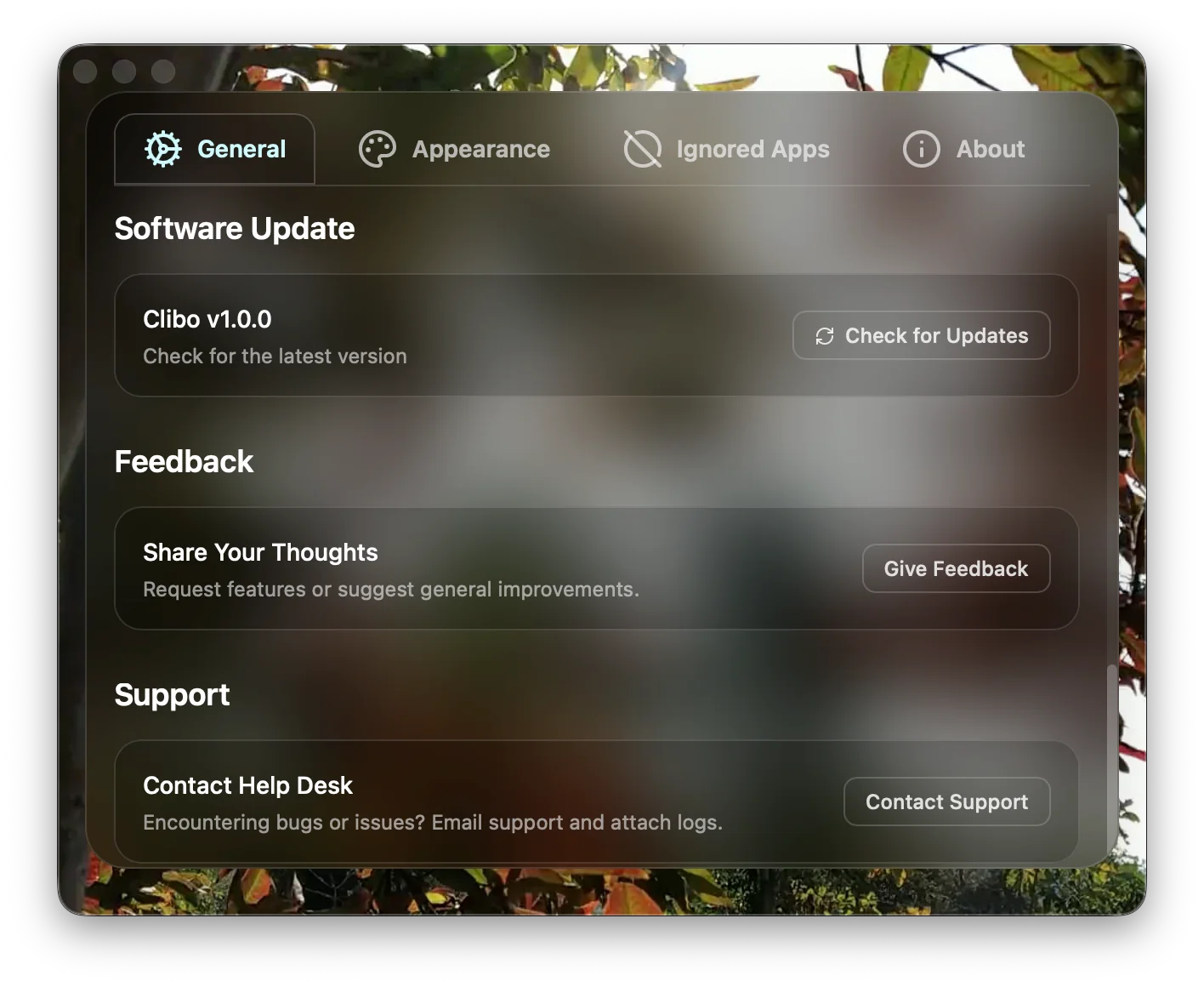 Clibo about and software update settings with version info, one-click updater, and support links