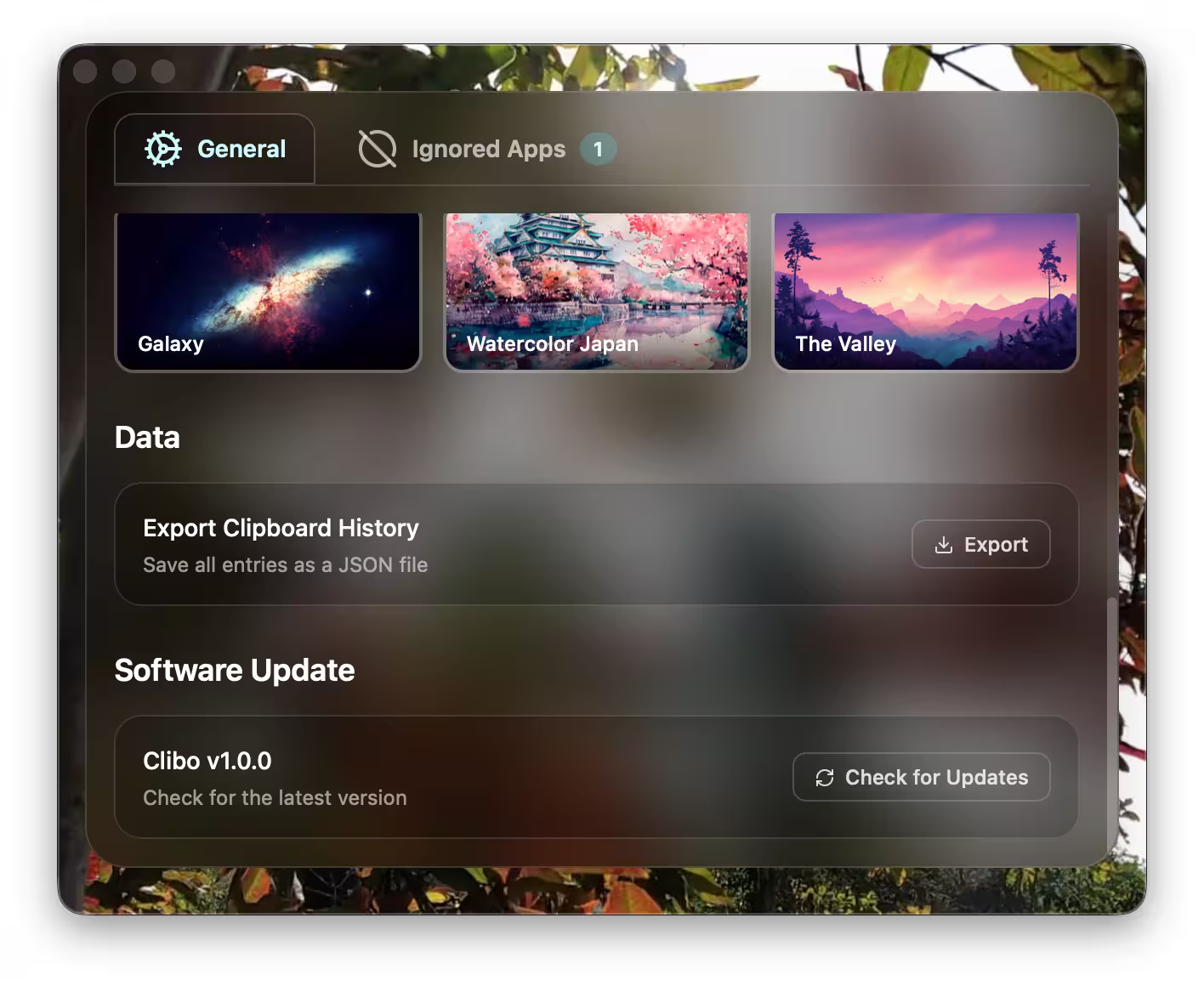 Clibo Data Export and Updates
