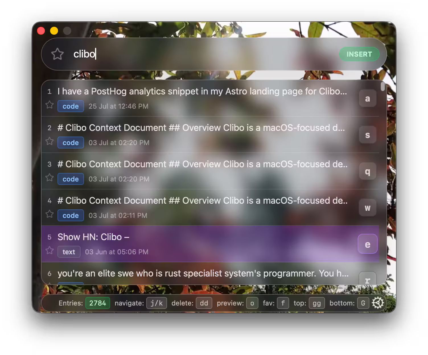 Clibo Search Interface